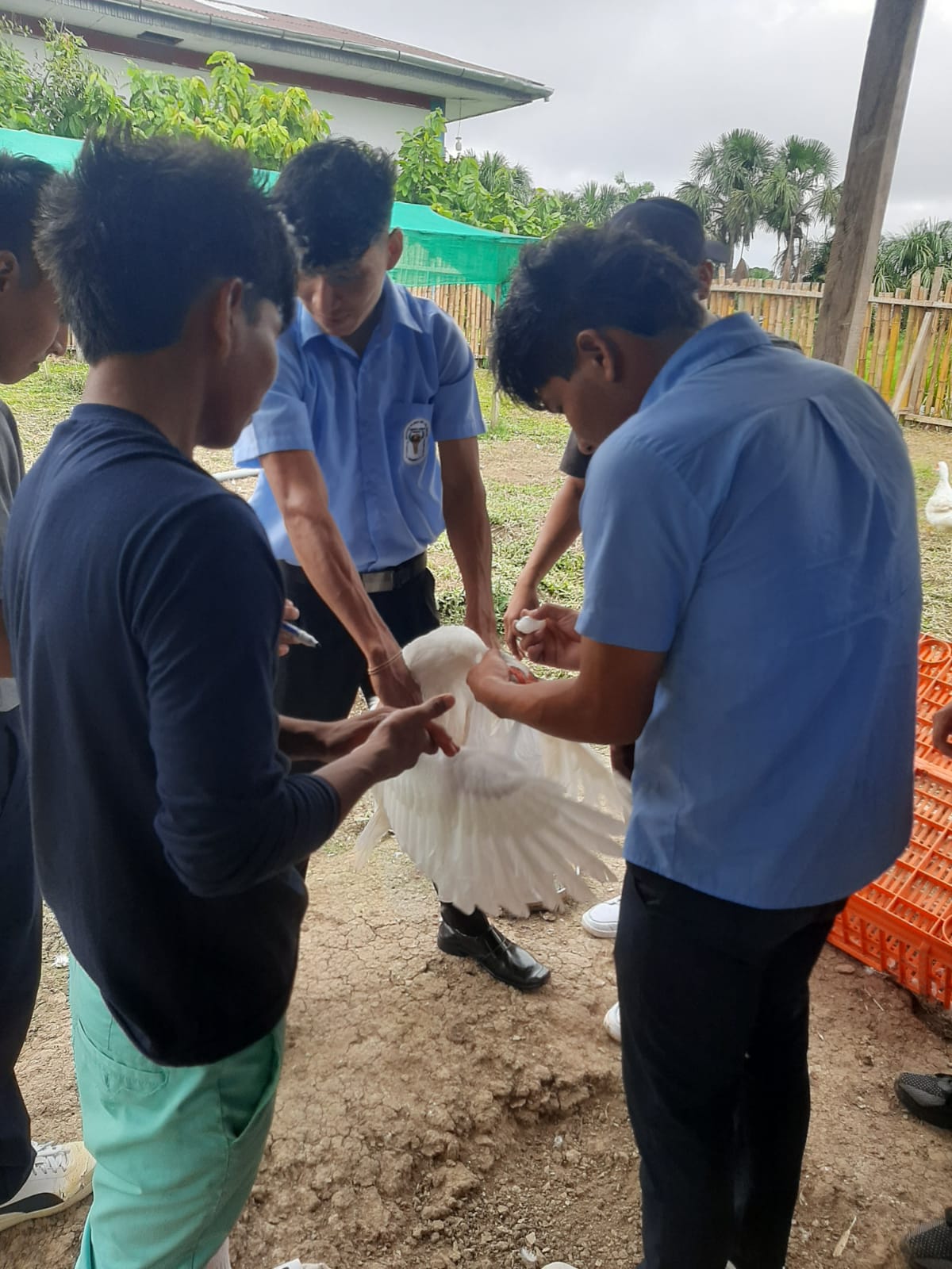 Programa de Estudio Producción Agropecuaria