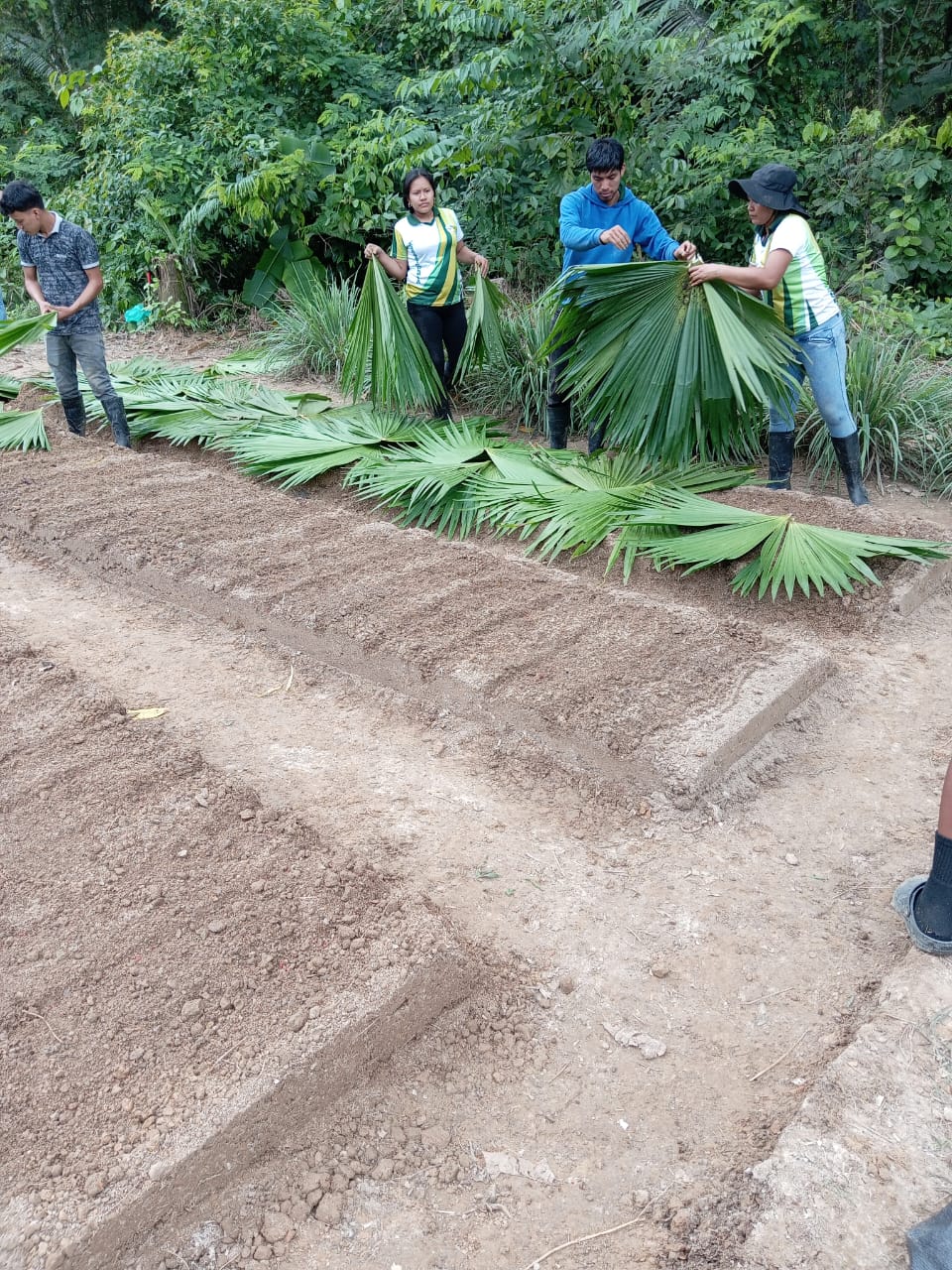 Programa de Estudio Producción Agropecuaria