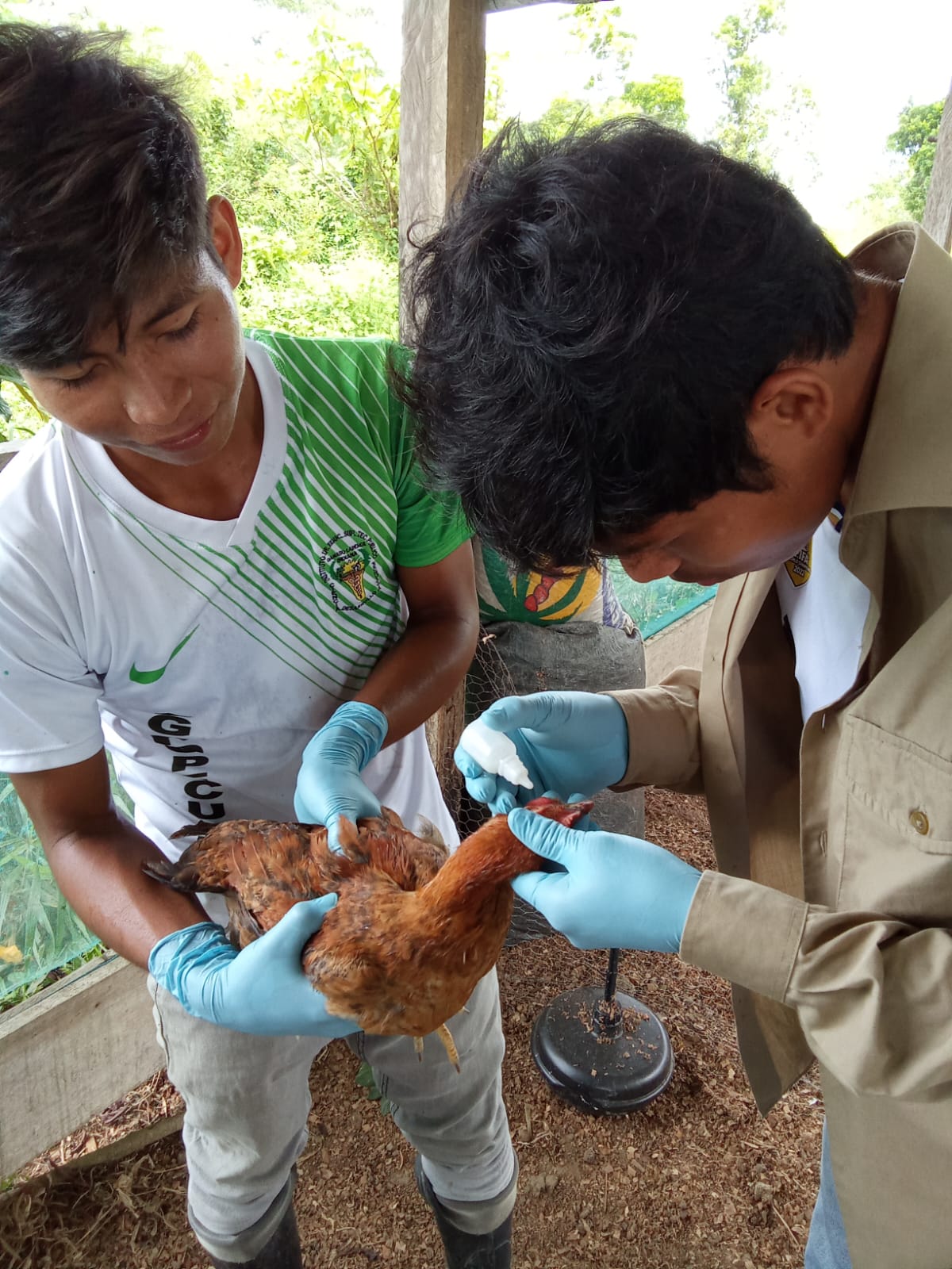 Campaña de Vacunación y Desparasitación